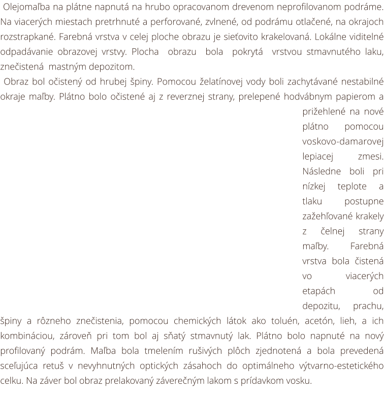 Olejomaľba na plátne napnutá na hrubo opracovanom drevenom neprofilovanom podráme. Na viacerých miestach pretrhnuté a perforované, zvlnené, od podrámu otlačené, na okrajoch rozstrapkané. Farebná vrstva v celej ploche obrazu je sieťovito krakelovaná. Lokál